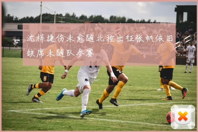 沈梓捷伤未愈随北控出征张帆依旧缺席未随队参赛